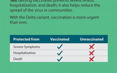 Are Vaccines effective?