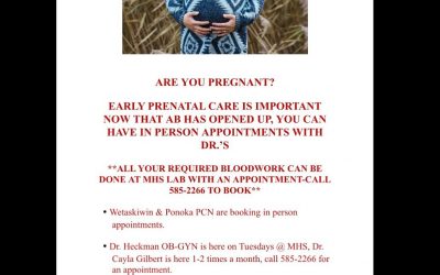 Early prenatal care