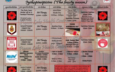 Pigeon Lake November Calendar